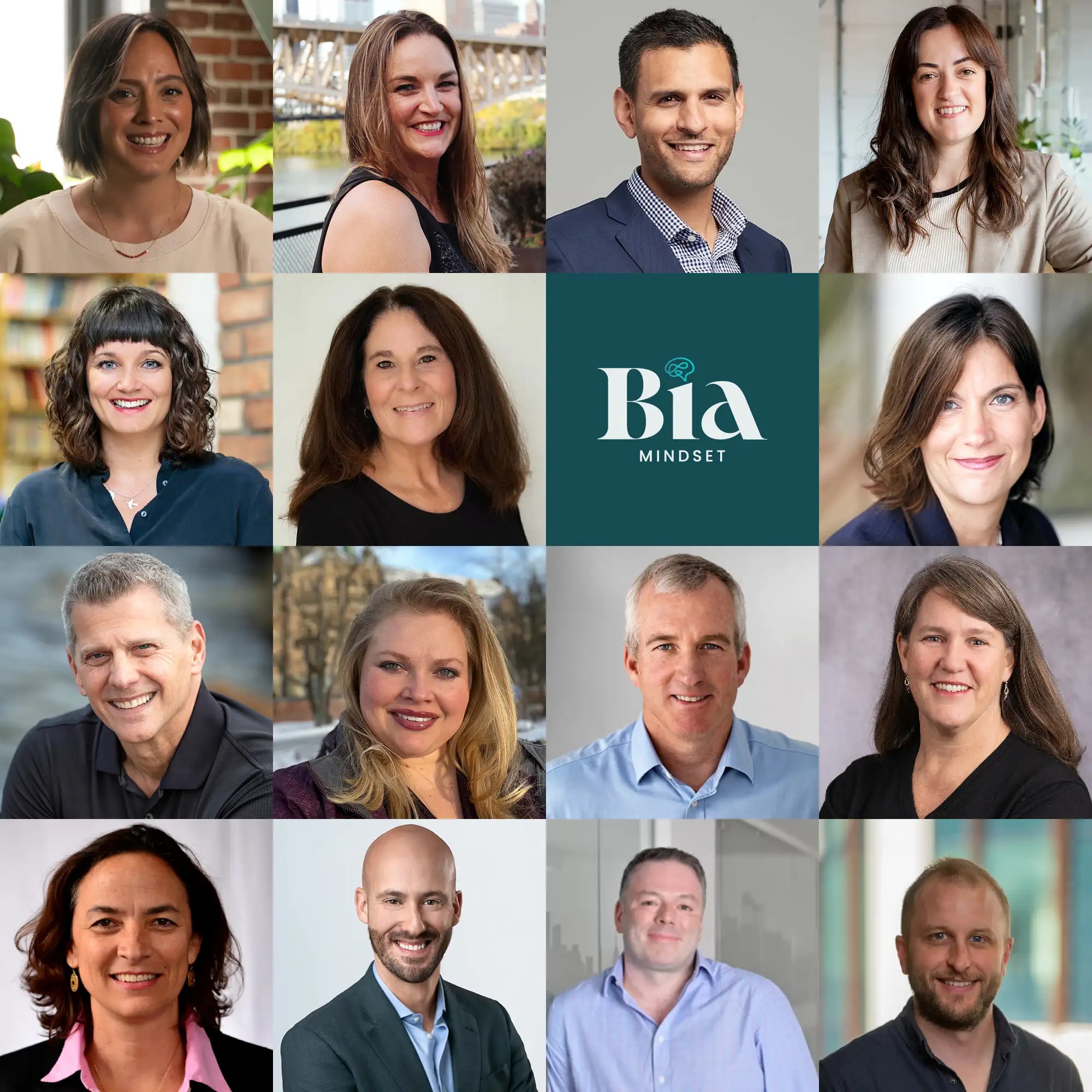 Bia Mindset Business Consultancy Team